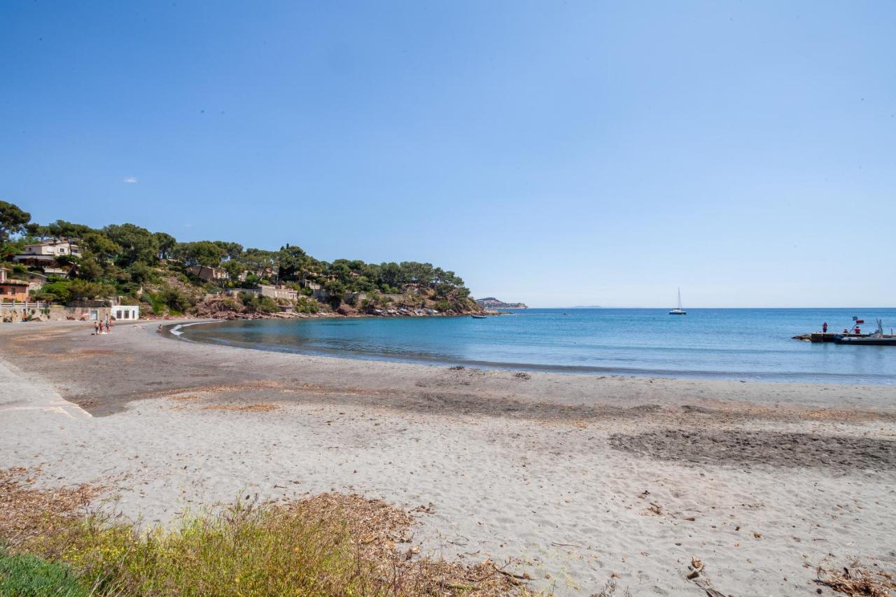 T2 - La Seyne Sur Mer - Fabregas Extérieur photo