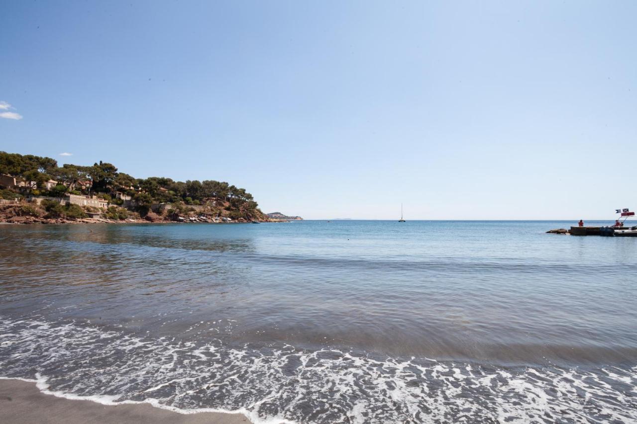 T2 - La Seyne Sur Mer - Fabregas Extérieur photo