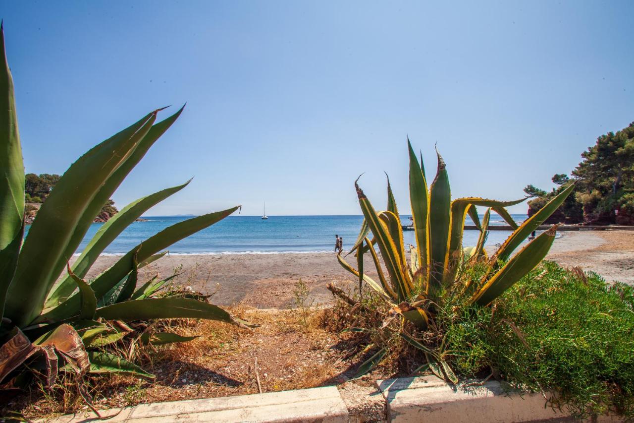 T2 - La Seyne Sur Mer - Fabregas Extérieur photo